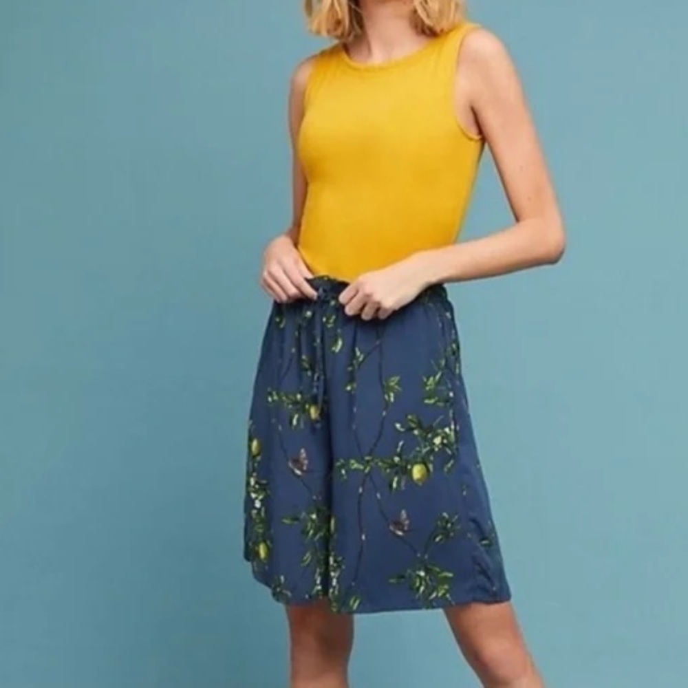 Anthropologie Lemon Bird Blue Bermuda Shorts sz XS